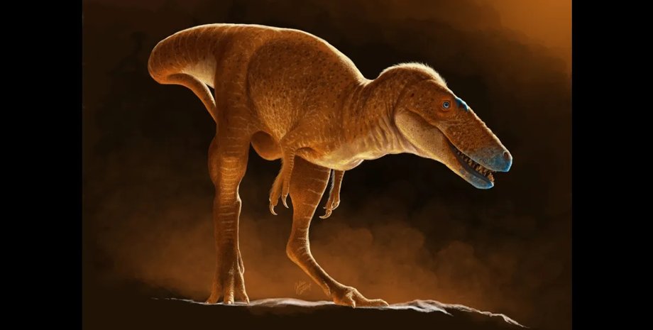 тираннозавр новый вид