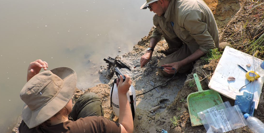 Часть находки, обнаруженной в Замбии