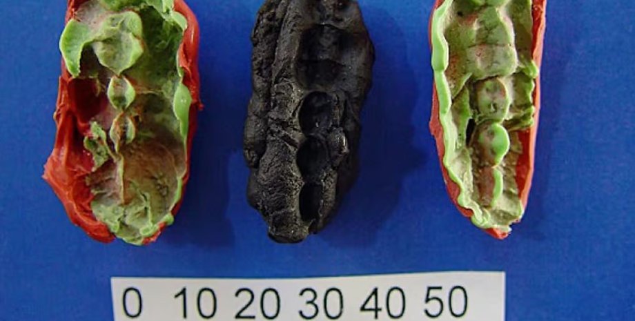 березова смола, жуйка