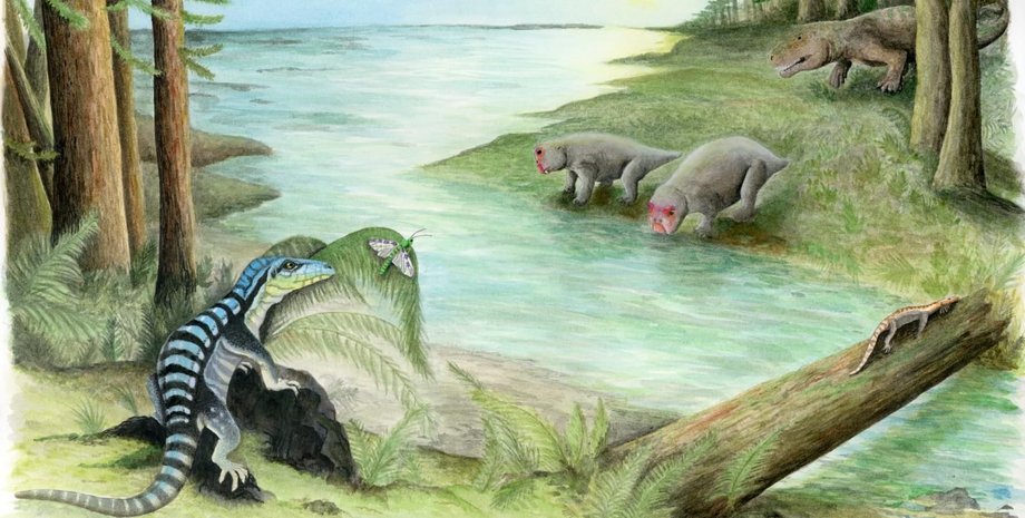 Фото: naked-science.ru