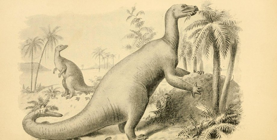 Игуанодон. Flickr/spiritorium