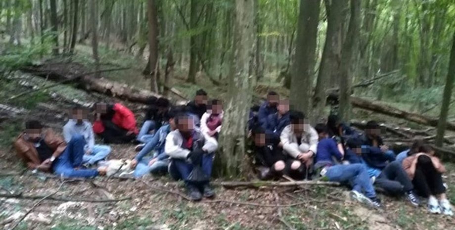 Фото: dpsu.gov.ua