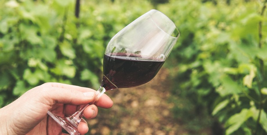 вино, виноград