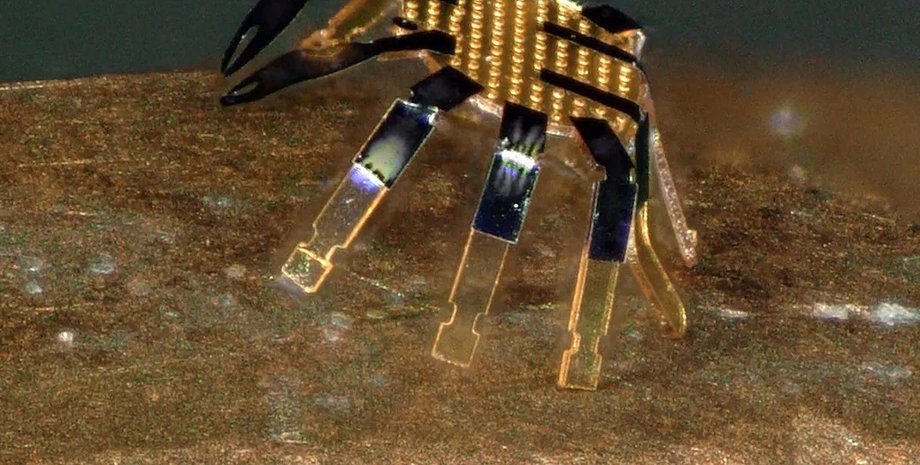 робот, робот-краб