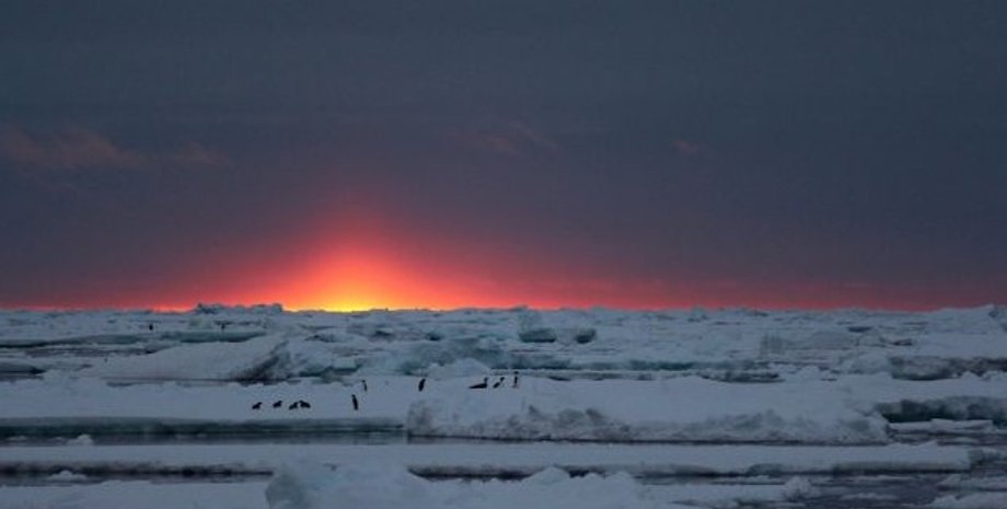 антарктида, австралийская антарктическая станция