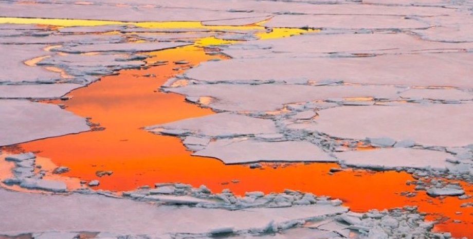 антарктика, таяние льда, лед антарктики
