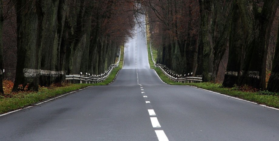 Фото: открытые источники