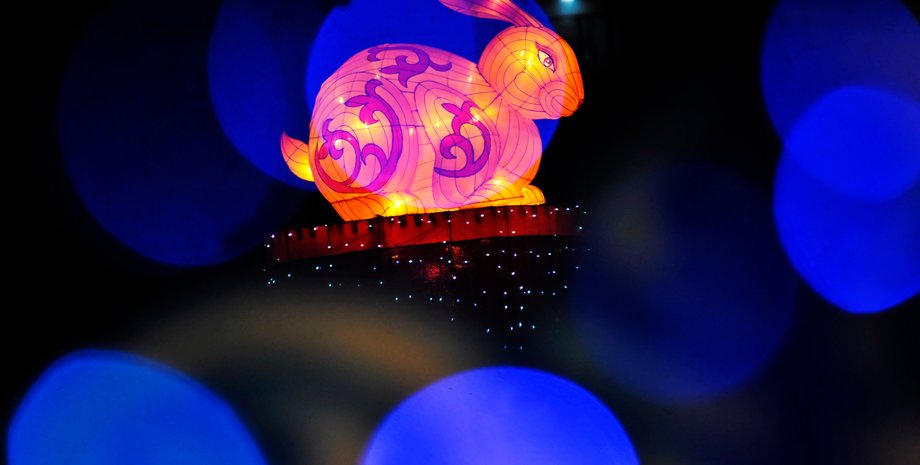 Год Черного или Водяного Кролика 2023