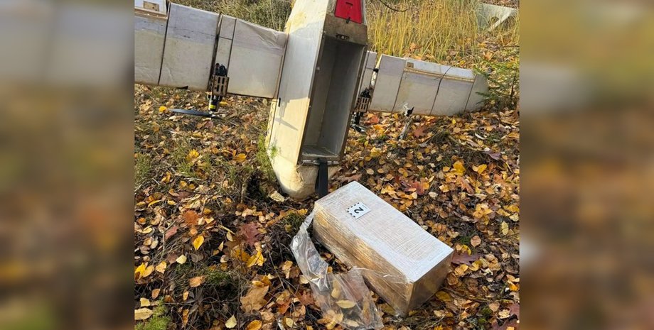 БПЛА з контрабандою на кордоні Польщі