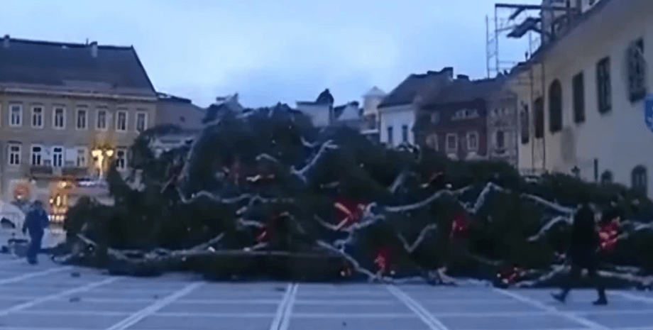 елка упала, елка в Румынии упала