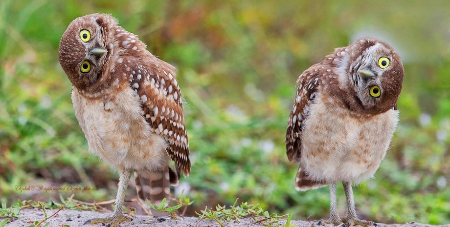 Фото с сайта MPort