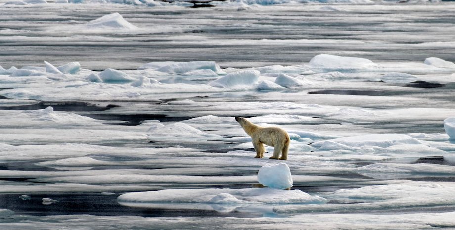 арктика таяние льда