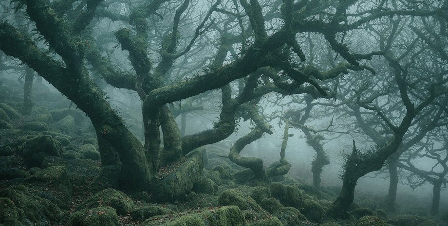 Фото: Instagram/Neil Burnell