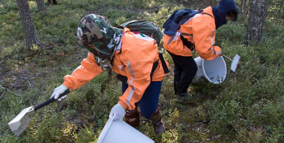 Фото: https: yle.fi