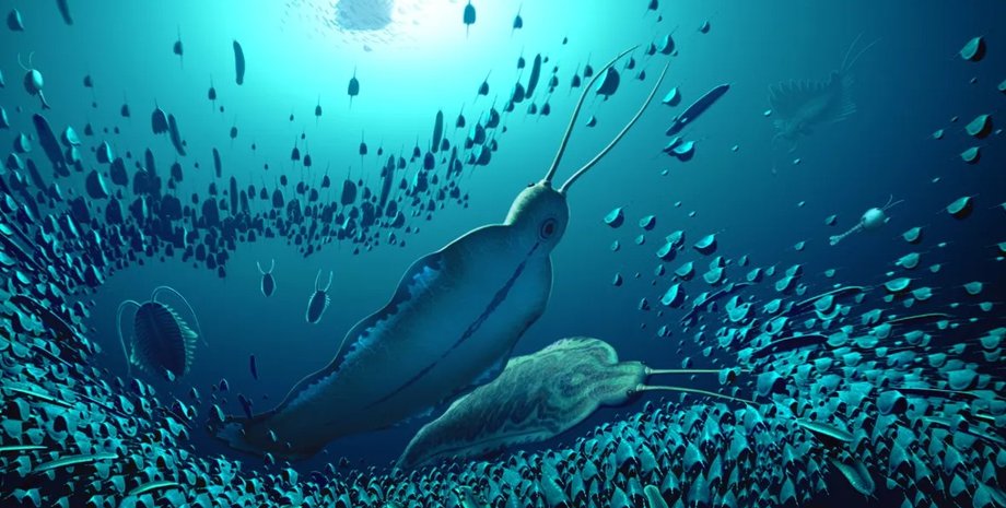 тиморебестії, стародавні черв'яки