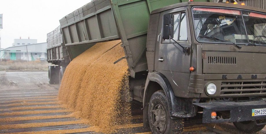 зерновоз, зерно, кордон, дпсу