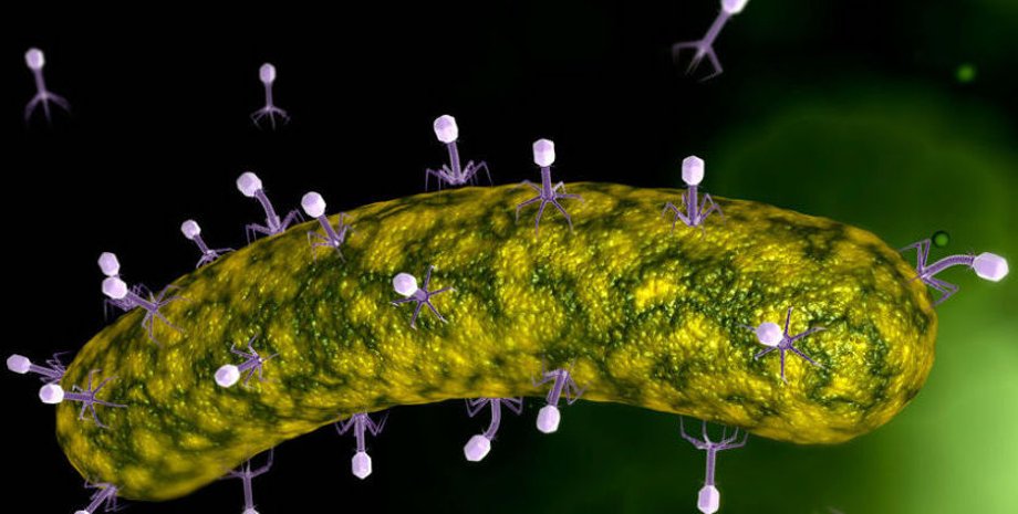 Фото: Getty Images