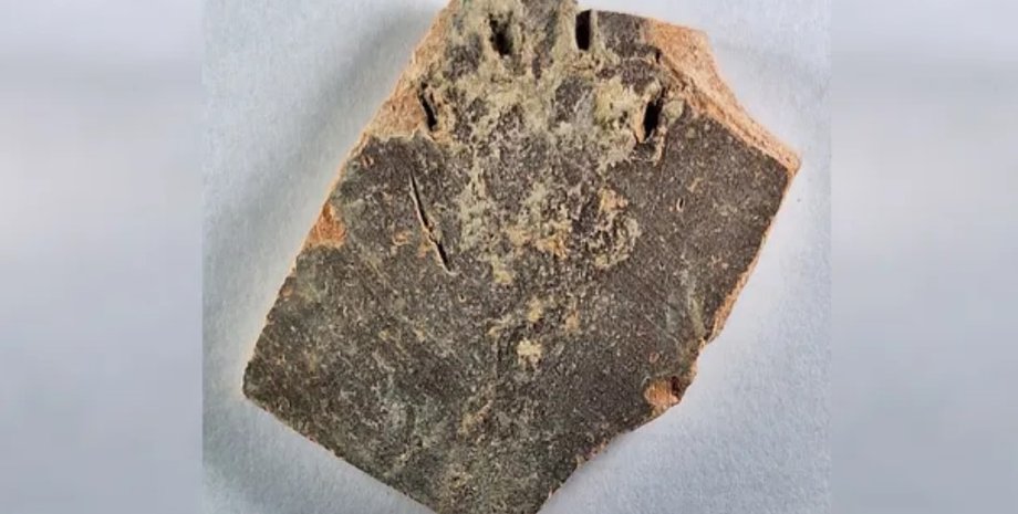 кувшин, кошка