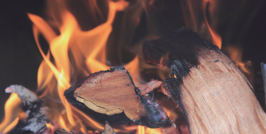 дрова, экспорт дров, продажа дров