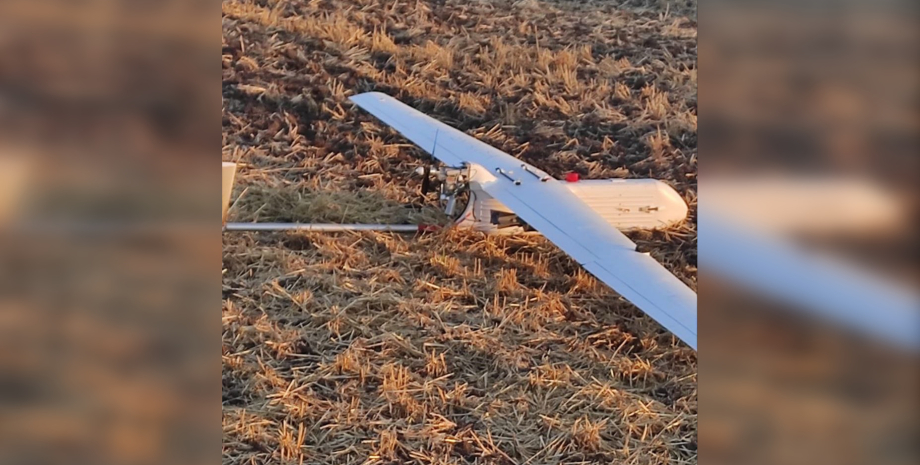 Dovbush UAV está diseñado para la exploración y el ajuste del fuego, pero su ver...