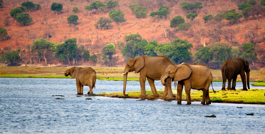 Фото: Encyclopedia Britannica