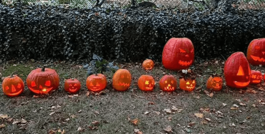 Тыквы на Хеллоуин