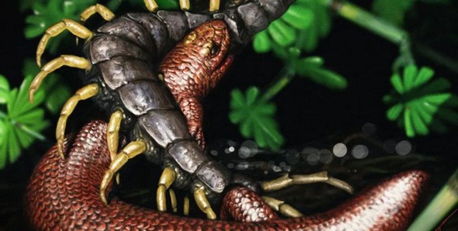 древняя рептилия