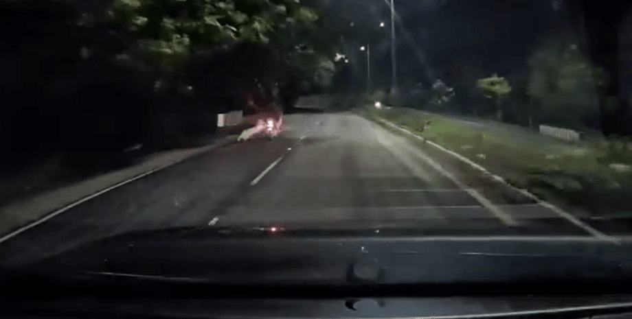 Мотоциклист избежал встречи с хищником из леса: как мужчине удалось выжить