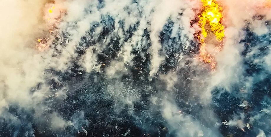 лесной пожар, пожары токсичное облако, пожары южная америка