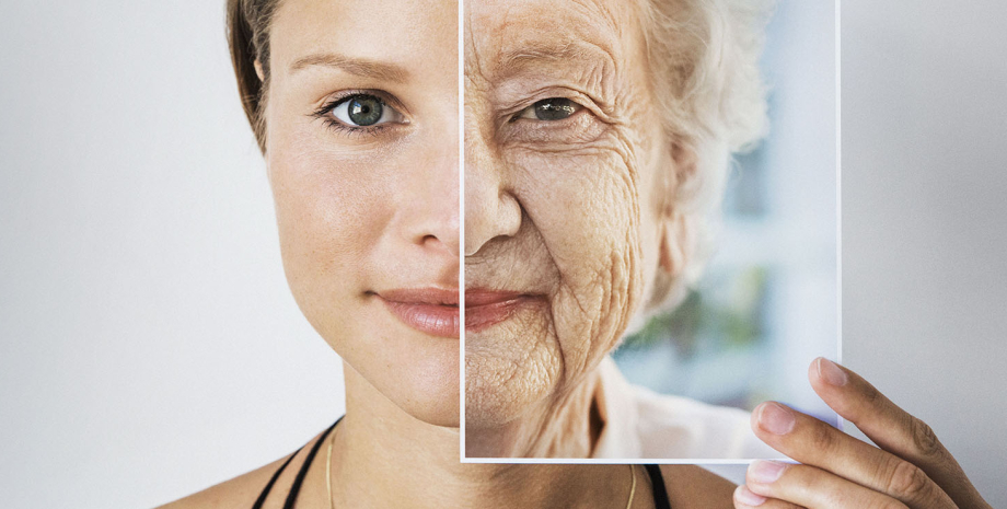 старіння Учені з'ясували, що старіння може бути заразним0