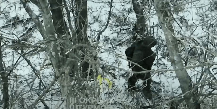 бои на Харьковщине, солдат ВС РФ, военный РФ, оккупанта взяли в плен, 3 ОШБр взяла в плен оккупанта