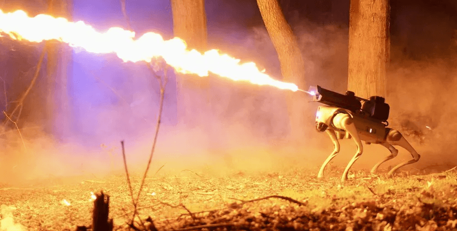 Робот, собака-робот, огнемет, уборка снега, оружие, разрешение на оружие, огнемет, работает на бензине, лазерный прицел