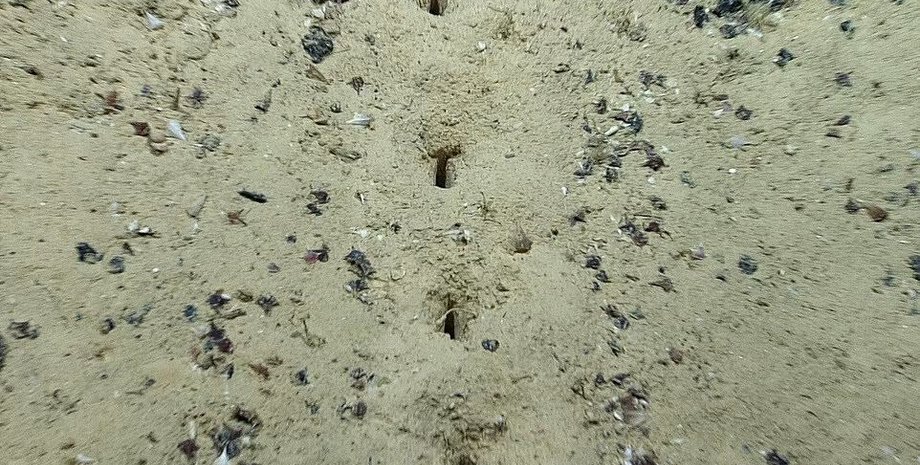 діри, дно океану, фото