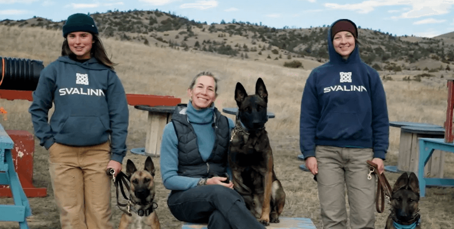 Собаки-охранники бизнес с собаками