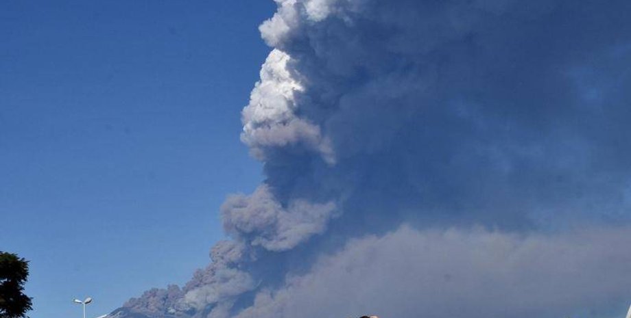 Фото: bombalatimes.com.au