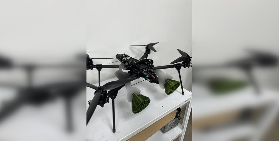 БПЛА, дрон, сеткомет, фото