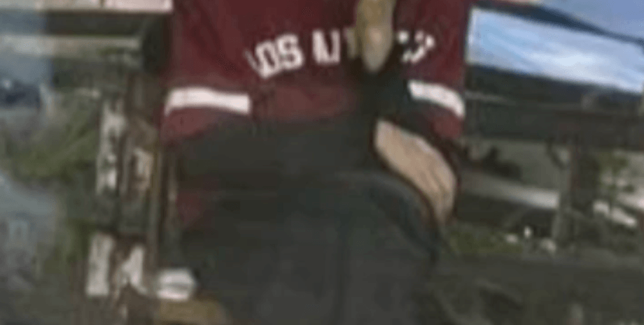 вбивство фаріон, ірина фаріон, вбивство, новини львова, новини дніпра