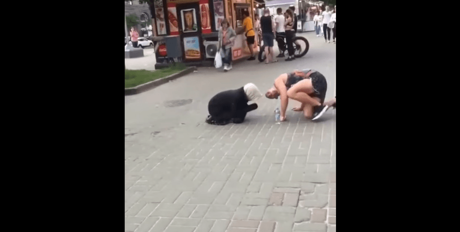 разоблачение попрошайки