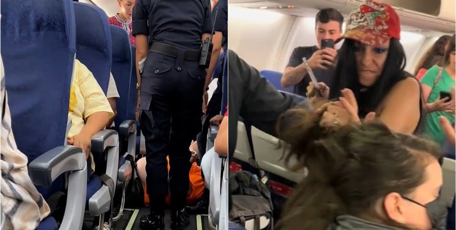 Порушник порядку на борту літака