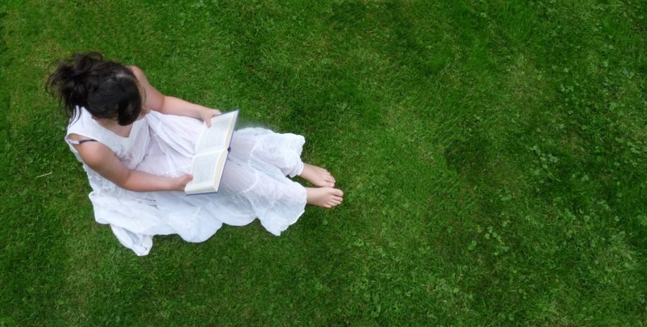 Фото: pxhere.com