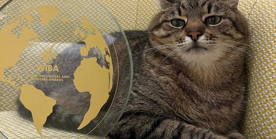 кот степан, хаби ламе, блогерская премия, блогеры