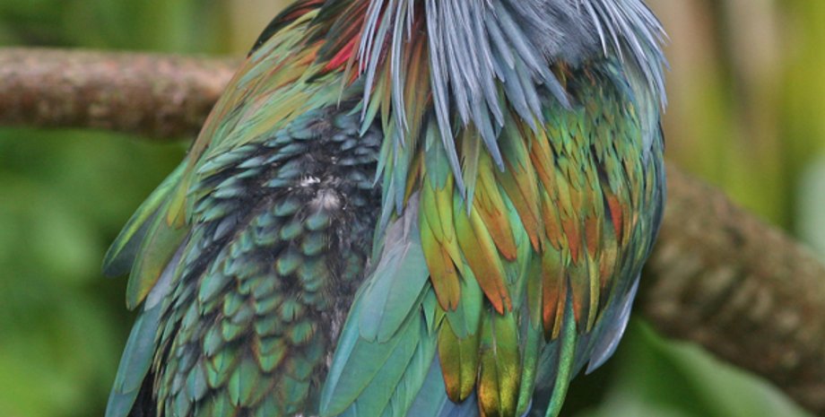 16-й лунный день фото 2022