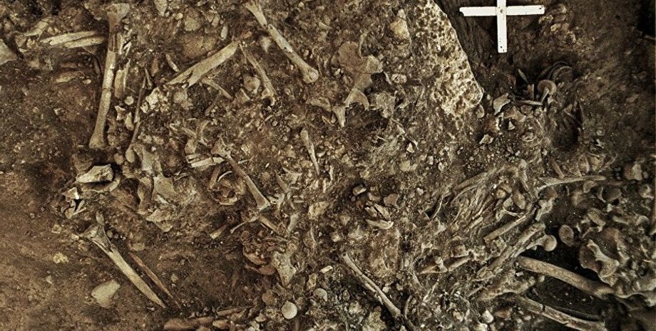 Karl-Göran Sjögren / University of Gothenburg