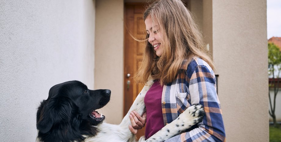 Собака, характер собаки, поведение, порода собаки