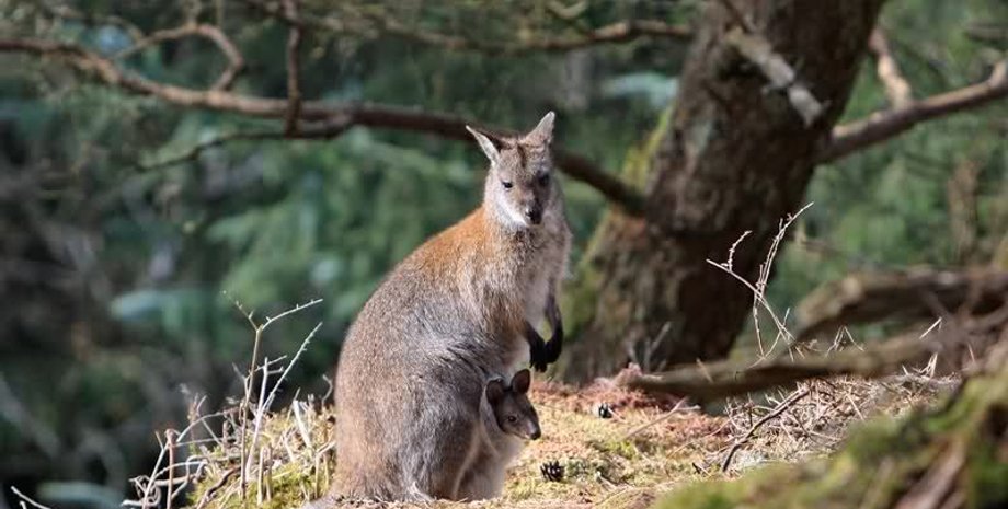Фото:  Paddling for Fun