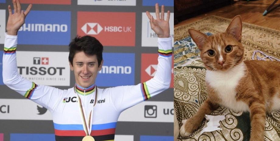 Велосипедист, кот, чемпион мира, спортсет, Антонио Тибери животное,