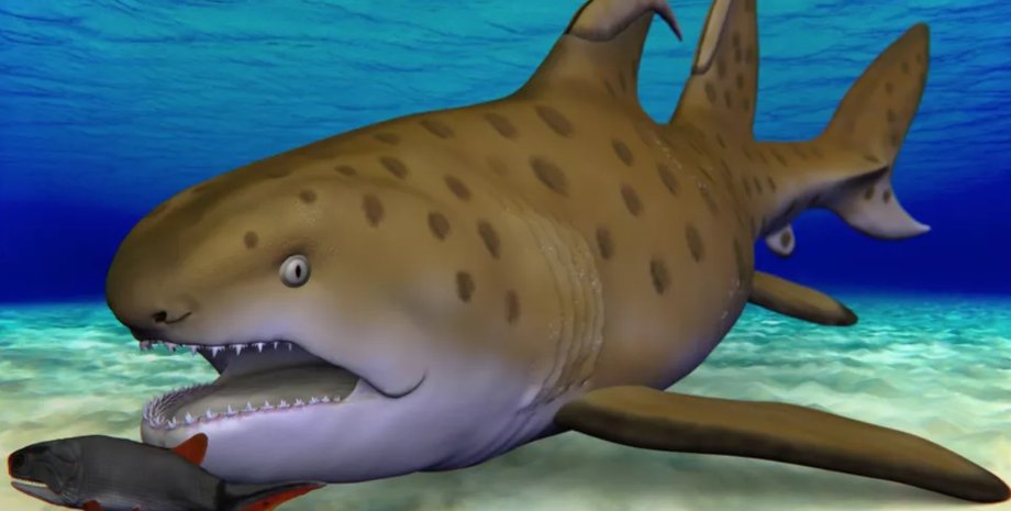 акула, Годзилла, палеонтология, окаменелости