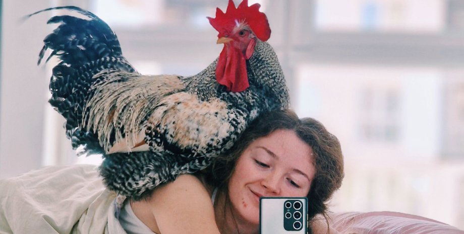 Украинка живет в городской квартире вместе с петухом по имени Тупик Женщина делает фото с петухом, который живет с ней в квартире, спит в постели и свободно передвигается по дому