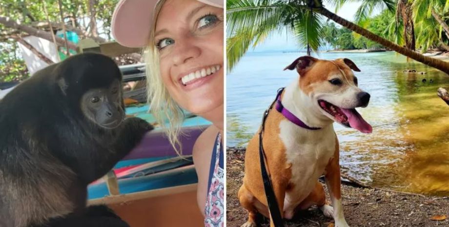 Ліза Кауфман із США, вчителька переселилась на безлюдний острів, стиль життя, цікаві історії з життя