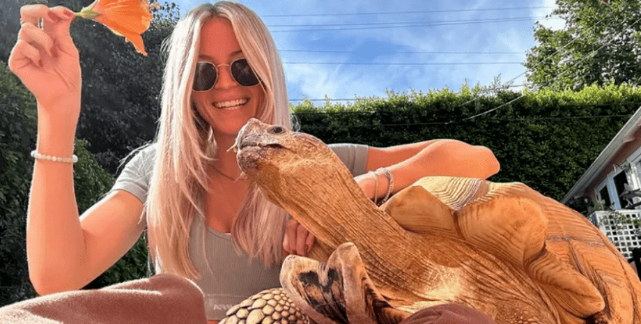 девушка с черепахой черепаха, девушка, цветок